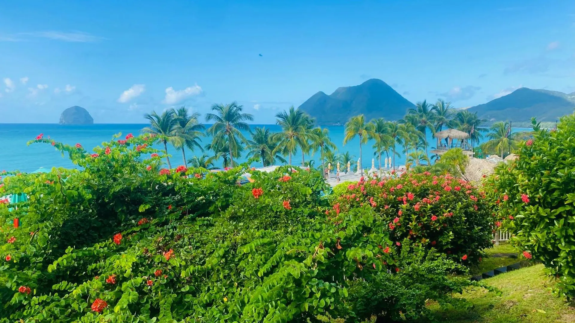 Diadora Au Magnifique Panorama - Studio Neuf De Prestige Vue Mer Le Diamant Martinique