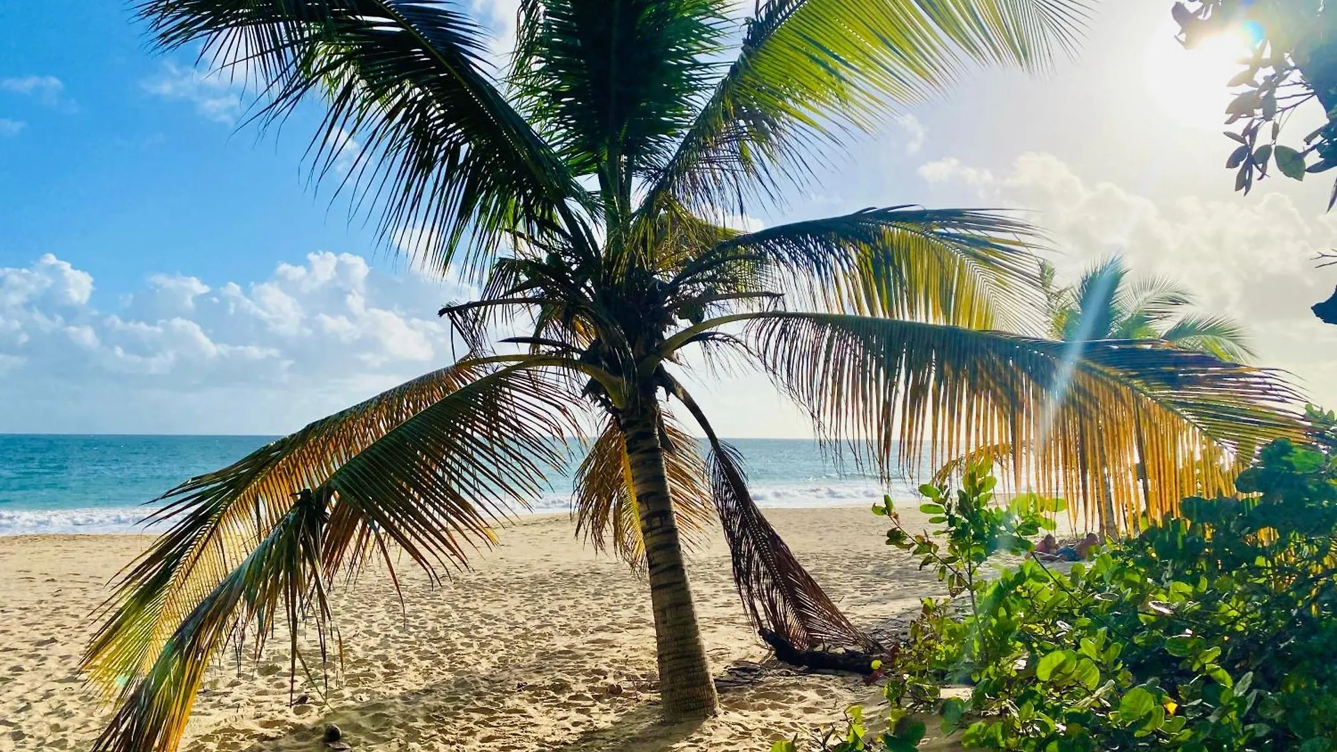 Diadora Au Magnifique Panorama - Studio Neuf De Prestige Vue Mer Le Diamant 0*,  Martinique